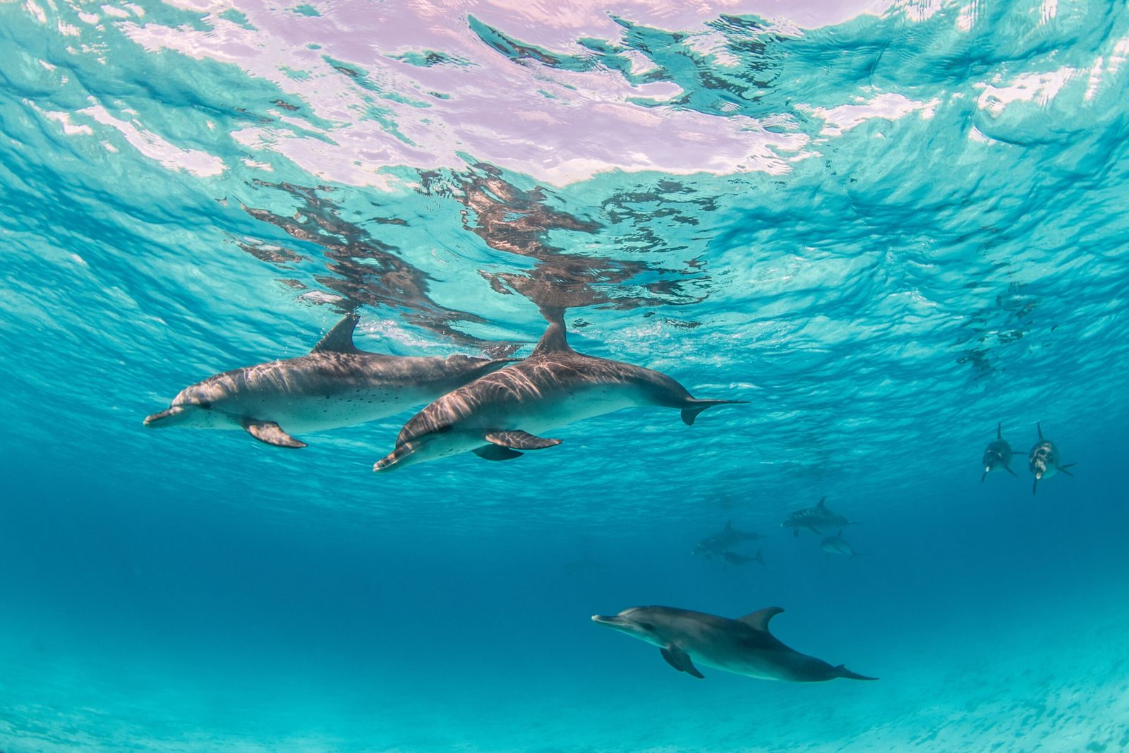 Beliebte Yachtcharter-Reiseziele