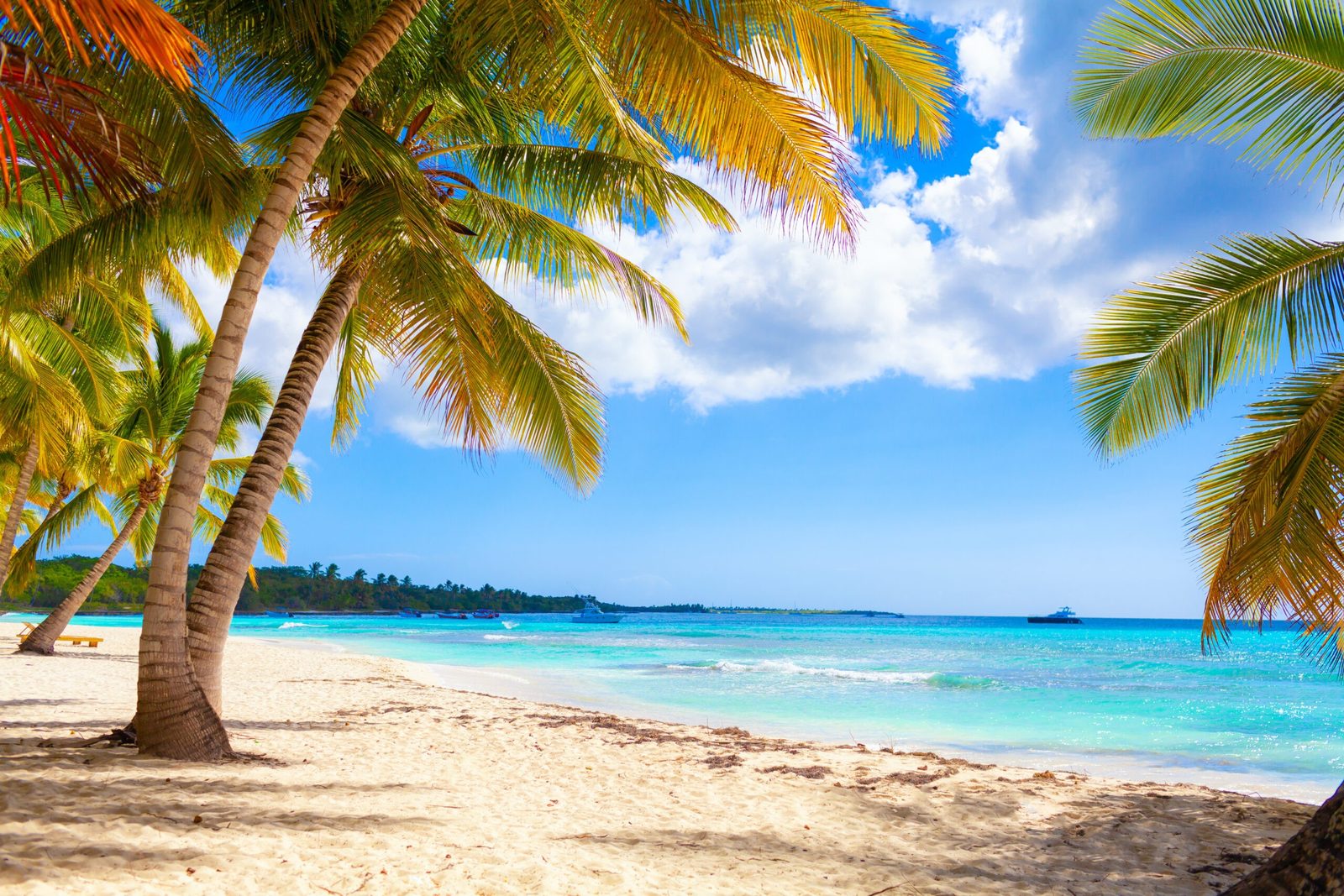Luxusyacht-Charter: Die besten Reiseziele für jede Jahreszeit