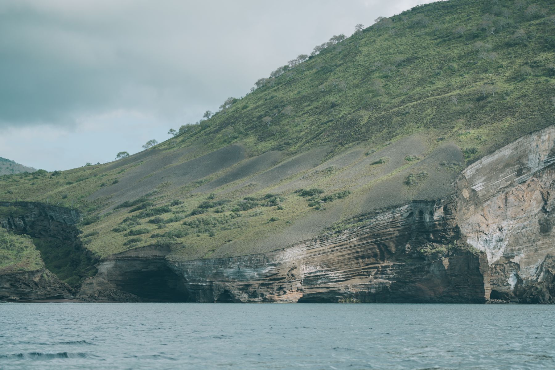 Galápagos